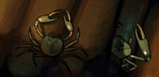 Krabbe.png