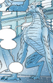 Narwhal in Winter Turning (Graphic Novel)