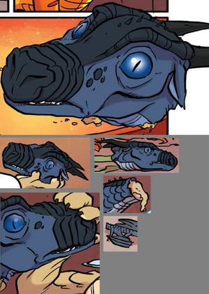 Datei:Ausgestopfter Nachtflügler.png