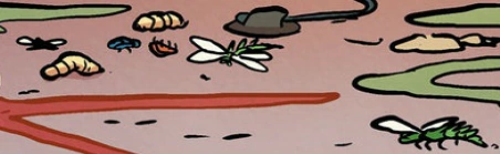 Datei:Datei:Ungewöhnliche Insekten.png