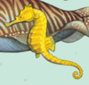 Ein Seepferdchen in A Guide to the Dragon World