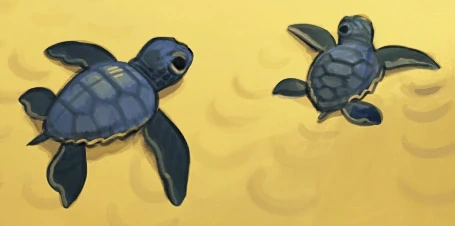Datei:Datei:Meeresschildkröte.png