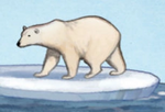 Ein Eisbär in A Guide to the Dragon World
