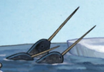 Narwale in A Guide to the Dragon World