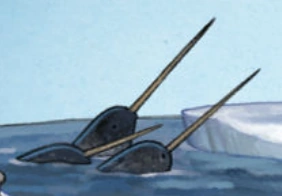 Narwale.Guide.png