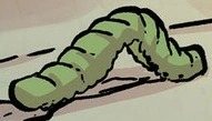 Datei:Raupe.GN6.1.png