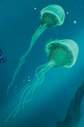 Qualle.png